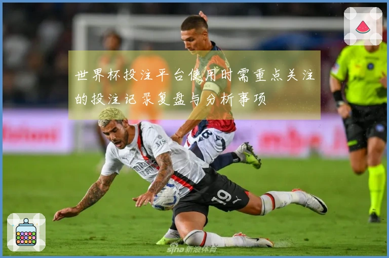 世界杯投注平台使用时需重点关注的投注记录复盘与分析事项