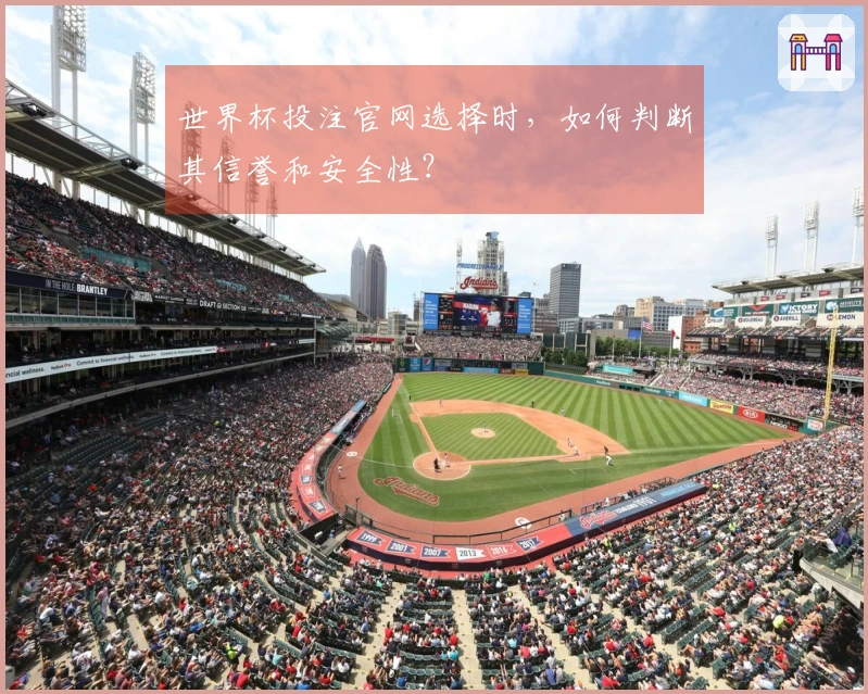 世界杯投注官网选择时，如何判断其信誉和安全性？