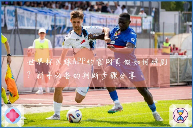 世界杯买球APP的官网真假如何辨别？新手必备的判断步骤分享