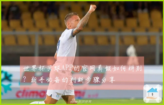 世界杯买球APP的官网真假如何辨别？新手必备的判断步骤分享